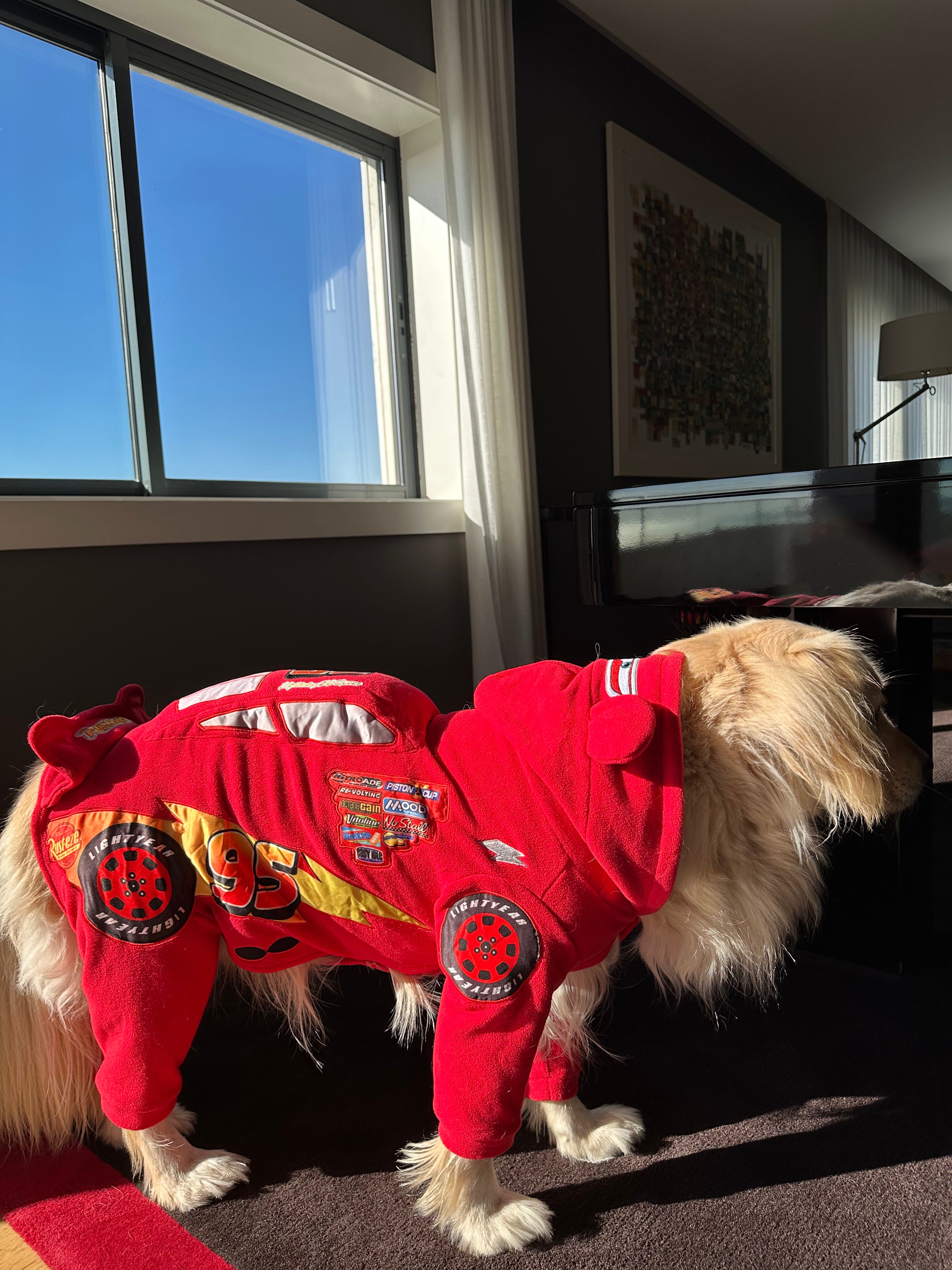 95 Dog Pajama