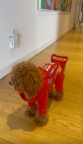95 Dog Pajama